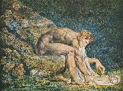 William Blake, Blake's Newton